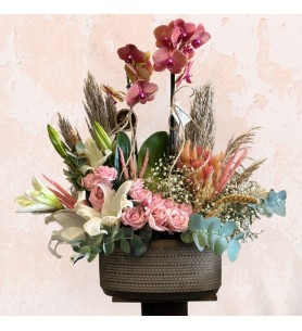 Orchid w/ Pink Rose and Lily